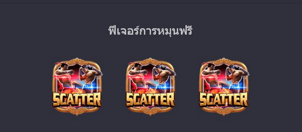 ฟีเจอร์การหมุนฟรี