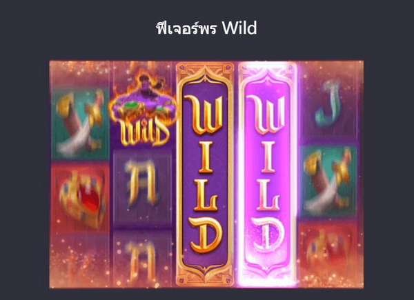 ฟีเจอร์ พร wild