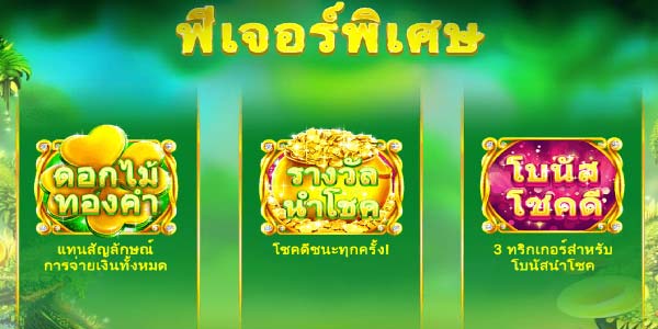 ฟีเจอร์พิเศษเกมส์พ่อมดวิเศษนำโชค