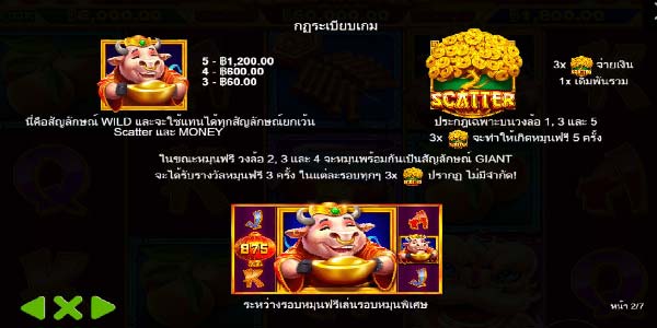 สัญลักษณ์ Wild และ Scatter เกมส์สล็อตวัว