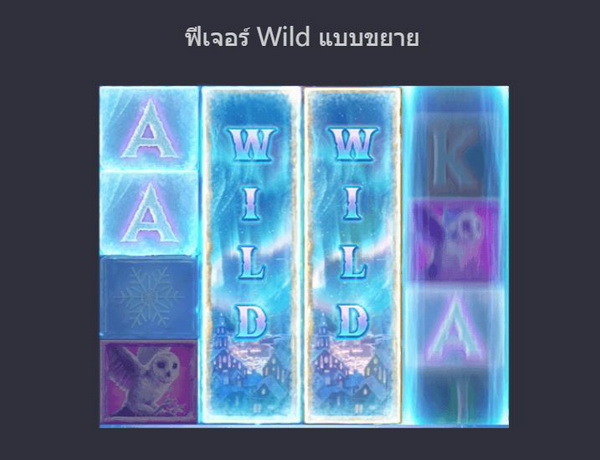 สัญลักษณ์ฺฟีเจอร์ wild แบบขยาย