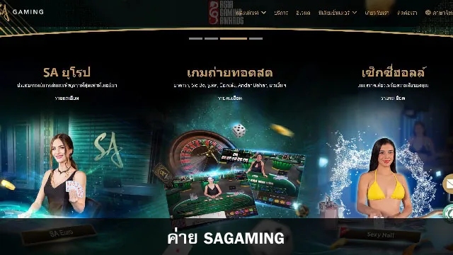 SaGaming Providers