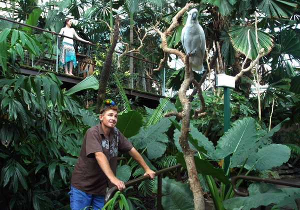 Carins Rainforest Dome