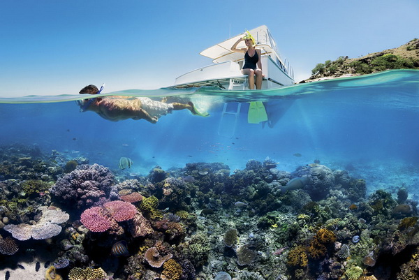 Reef and Rainforest Research Centre