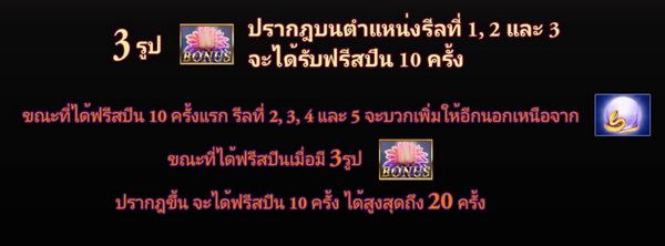 Free Spin Bonus fortune thai slot 