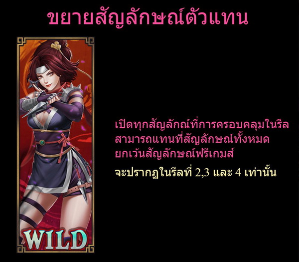 Expand Wild Symbols kunoichi Slot