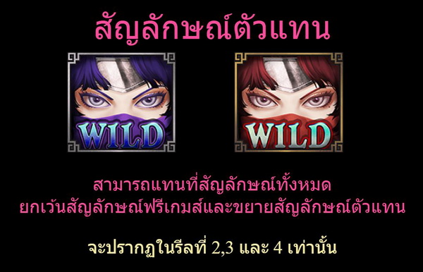 Wild Symbols kunoichi Slot