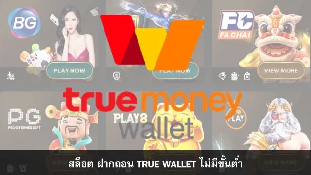 slot true wallet