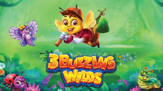 3 Buzzing Wilds