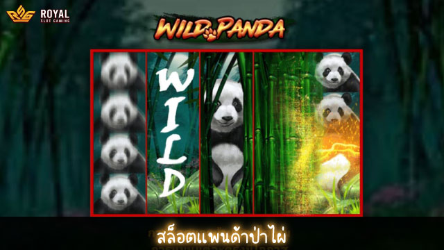 Wild Panda Slot