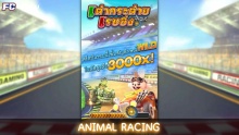 Animal Racing FA Chai