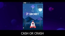 Cash Or Crash