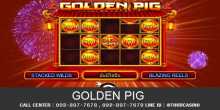 เกมส์สล็อต Golden Pig